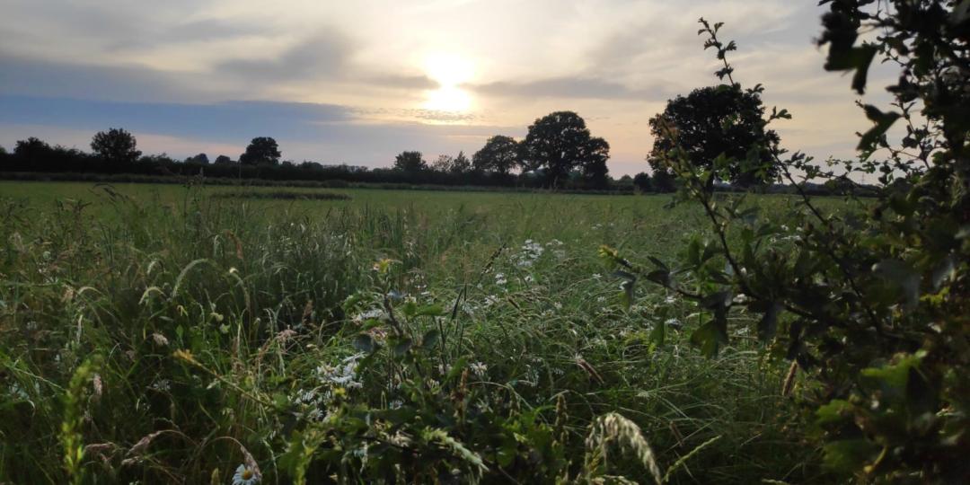 Campina & Natuurmonumenten