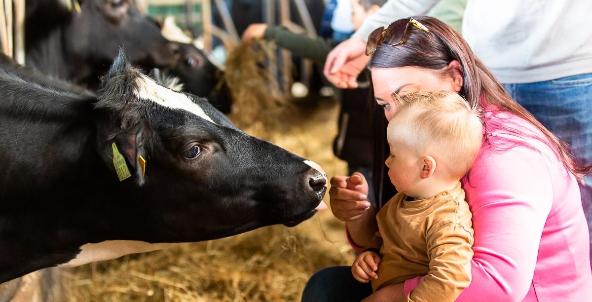 Campina Open Boerderijdagen