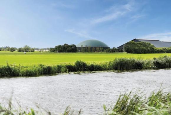 Natuur