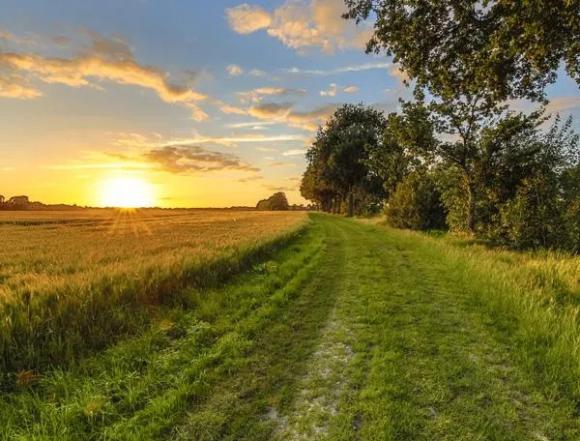 Natuur