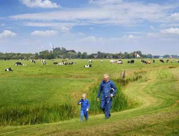 Natuur